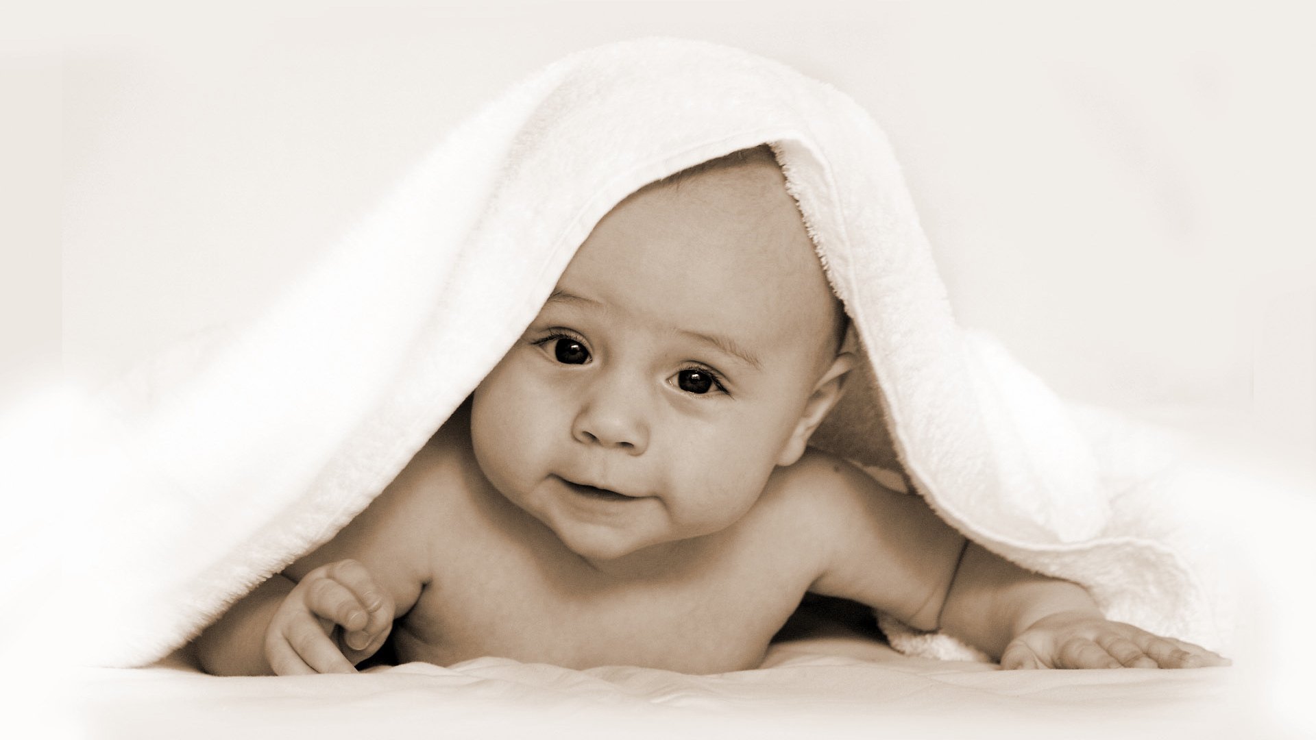 温州借卵自怀试管婴儿和人工授精哪个成功率高